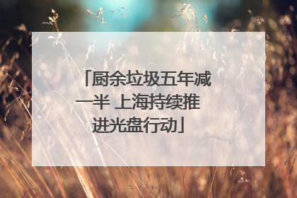 厨余垃圾五年减一半 上海持续推进光盘行动