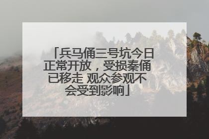 兵马俑三号坑今日正常开放，受损秦俑已移走 观众参观不会受到影响