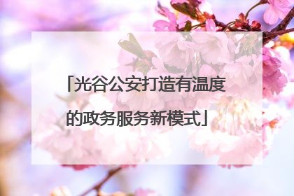 光谷公安打造有温度的政务服务新模式