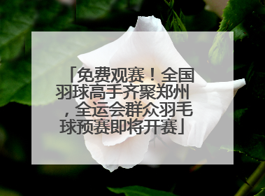 免费观赛！全国羽球高手齐聚郑州，全运会群众羽毛球预赛即将开赛
