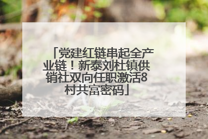 党建红链串起全产业链！新泰刘杜镇供销社双向任职激活8村共富密码
