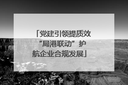 党建引领提质效 “局港联动”护航企业合规发展