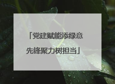 党建赋能添绿意 先锋聚力树担当