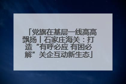 党旗在基层一线高高飘扬丨石家庄海关：打造“有呼必应 有困必解”关企互动新生态
