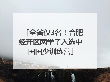 全省仅3名！合肥经开区两学子入选中国国少训练营