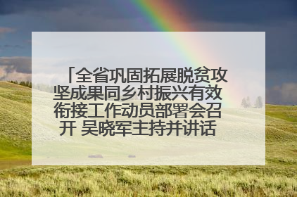 全省巩固拓展脱贫攻坚成果同乡村振兴有效衔接工作动员部署会召开 吴晓军主持并讲话 罗东川作安排部署