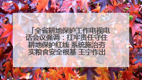 全省耕地保护工作电视电话会议强调：扛牢责任守住耕地保护红线 系统施治夯实粮食安全根基 王宁作出批示 王予波出席并讲话