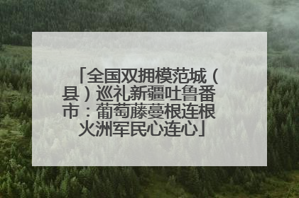 全国双拥模范城（县）巡礼新疆吐鲁番市：葡萄藤蔓根连根 火洲军民心连心