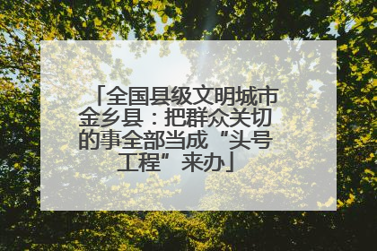 全国县级文明城市金乡县：把群众关切的事全部当成“头号工程”来办