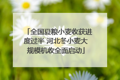 全国夏粮小麦收获进度过半 河北冬小麦大规模机收全面启动