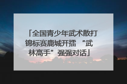 全国青少年武术散打锦标赛鹿城开擂 “武林高手”强强对话