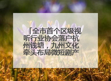 全市首个区级视听行业协会落户杭州钱塘，九州文化牵头布局微短剧产业高地