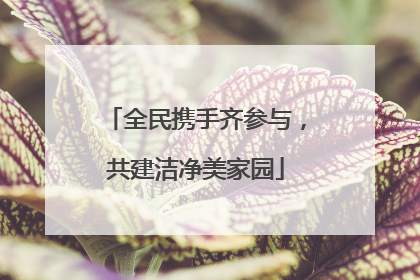 全民携手齐参与，共建洁净美家园