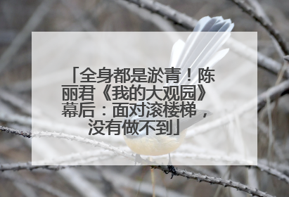 全身都是淤青！陈丽君《我的大观园》幕后：面对滚楼梯，没有做不到