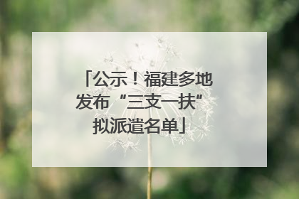 公示！福建多地发布“三支一扶”拟派遣名单