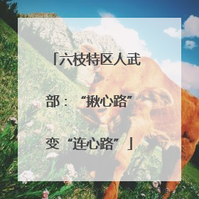 六枝特区人武部：“揪心路”变“连心路”