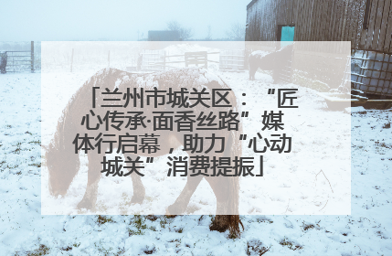 兰州市城关区：“匠心传承·面香丝路”媒体行启幕，助力“心动城关”消费提振