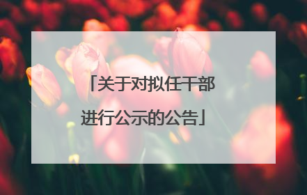 关于对拟任干部进行公示的公告