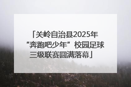 关岭自治县2025年“奔跑吧少年”校园足球三级联赛圆满落幕