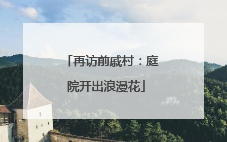 再访前戚村：庭院开出浪漫花