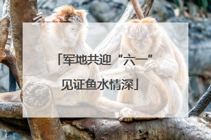 军地共迎“六一” 见证鱼水情深