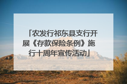 农发行祁东县支行开展《存款保险条例》施行十周年宣传活动