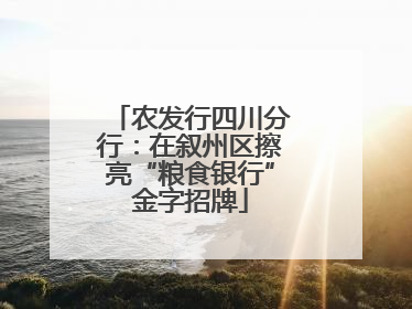 农发行四川分行：在叙州区擦亮“粮食银行”金字招牌