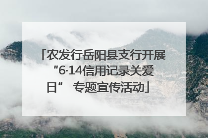 农发行岳阳县支行开展“6·14信用记录关爱日” 专题宣传活动