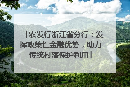 农发行浙江省分行：发挥政策性金融优势，助力传统村落保护利用