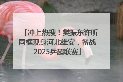 冲上热搜！樊振东许昕同框现身河北雄安，备战2025乒超联赛