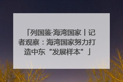 列国鉴·海湾国家丨记者观察：海湾国家努力打造中东“发展样本”