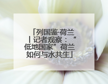 列国鉴·荷兰丨记者观察：“低地国家”荷兰如何与水共生