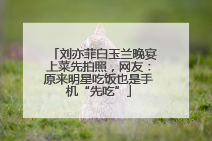 刘亦菲白玉兰晚宴上菜先拍照，网友：原来明星吃饭也是手机“先吃”