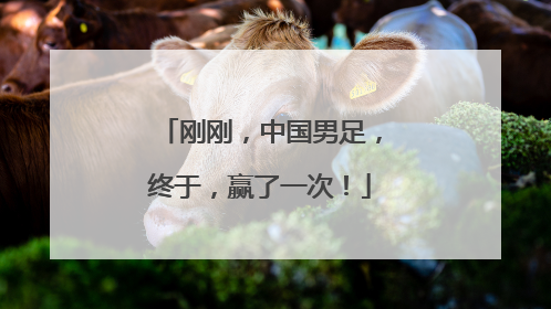 刚刚，中国男足，终于，赢了一次！