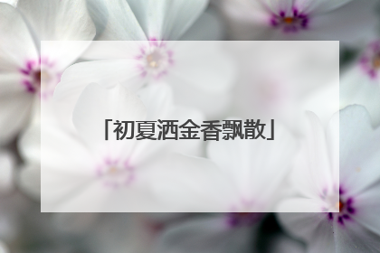 初夏洒金香飘散