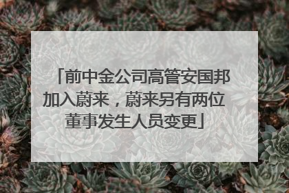 前中金公司高管安国邦加入蔚来，蔚来另有两位董事发生人员变更