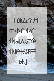 前五个月中小企业产业园入驻企业增长超三成