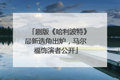 剧版《哈利波特》最新选角出炉，马尔福饰演者公开