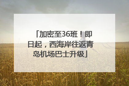 加密至36班！即日起，西海岸往返青岛机场巴士升级