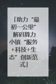 助力“最初一公里” 解码算力小镇“服务+科技+生态”创新范式