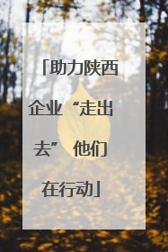 助力陕西企业“走出去” 他们在行动