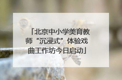 北京中小学美育教师“沉浸式”体验戏曲工作坊今日启动