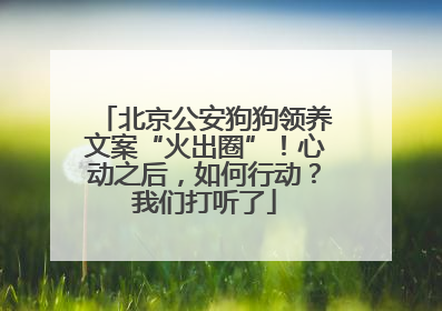 北京公安狗狗领养文案“火出圈”！心动之后，如何行动？我们打听了