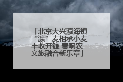 北京大兴瀛海镇“瀛”麦相承小麦丰收开镰 奏响农文旅融合新乐章