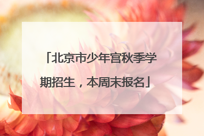 北京市少年宫秋季学期招生，本周末报名