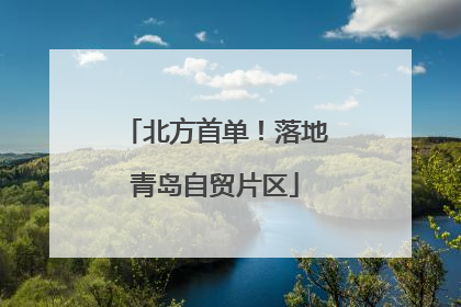 北方首单！落地青岛自贸片区
