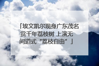 埃文凯尔现身广东茂名 赏千年荔枝树 上演无间道式“荔枝自由”