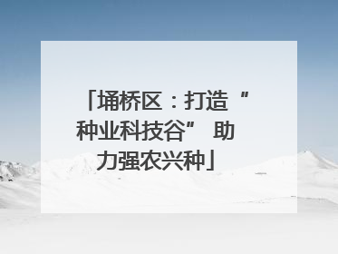 埇桥区：打造“种业科技谷” 助力强农兴种
