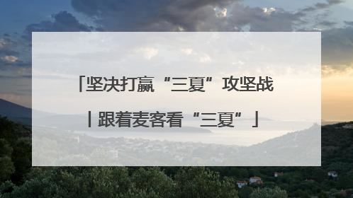 坚决打赢“三夏”攻坚战丨跟着麦客看“三夏”