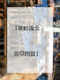 坡岭流金：萱草图景